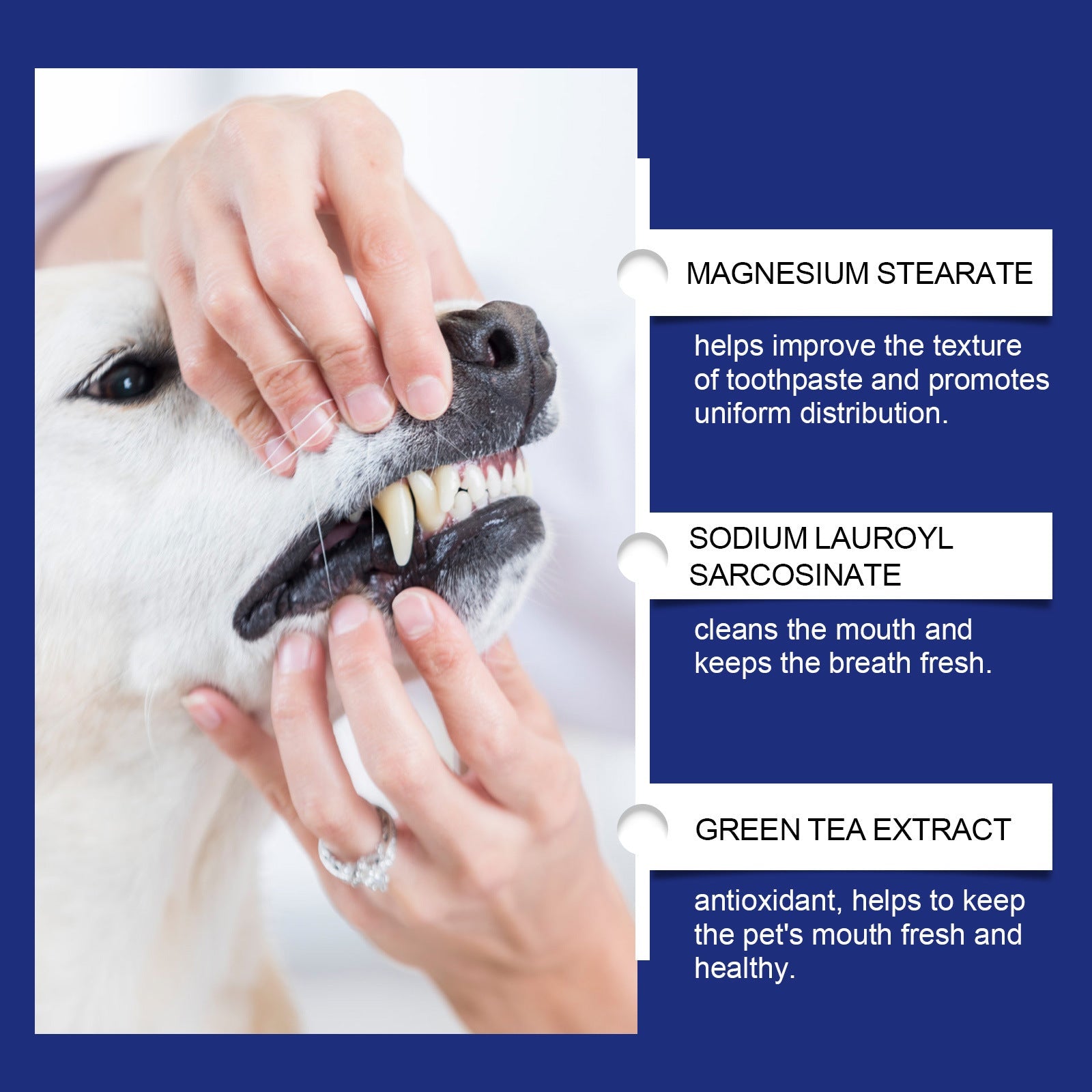 HKM-9374525 Pet Teeth Cleaning Powder for Effective Stain Removal - 40g Natural Ingredients