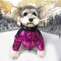 HKM-9375037 Stylish Casual Down Jacket for Pets with Star Patent Fur Collar in Black and Pink