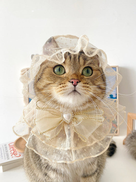 HKM-9376829 Lace Mesh Bibs and Hats Set for Cats and Dogs - Off White and Black, Multiple Sizes Available