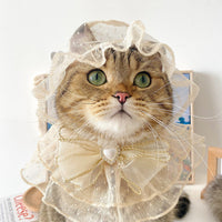 HKM-9376829 Lace Mesh Bibs and Hats Set for Cats and Dogs - Off White and Black, Multiple Sizes Available