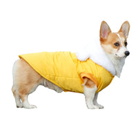 HKM-9379005 Cozy Winter Hooded Pet Clothes for Dogs - Fashionable and Warm Cotton Outfit in Blue and Yellow
