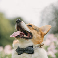 HKM-9380413 Handmade Dog Bow Tie Collar in Wine Red Plaid & Gray Plaid for Small and Medium Dogs