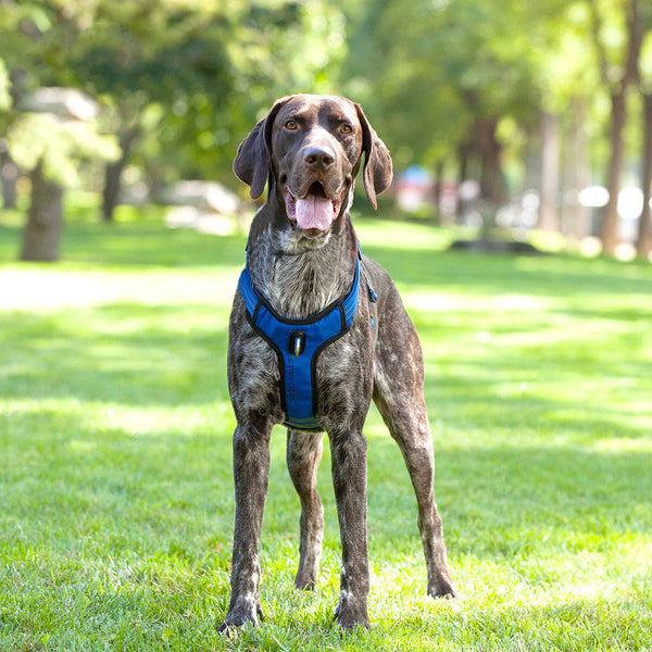 HKM-9381693 Reflective and Breathable Nylon Dog Leash with Chest Strap in Multiple Sizes and Colors
