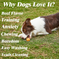 HKM-9385661 Indestructible Dog Chew Bone with Real Beef Flavor - Safe Nylon and Cowhide Teething Toy for All Dog Sizes