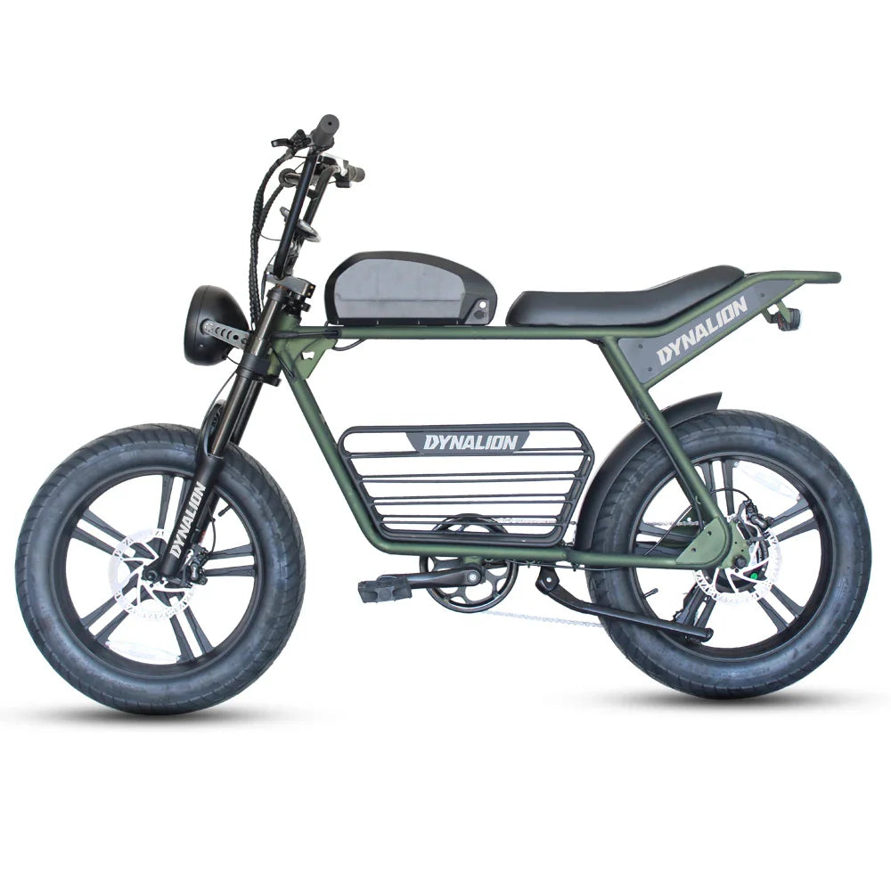 HKM-939795 48V 1000W Electric Mountain Bike with 20" Fat Tires and Hydraulic Disc Brakes