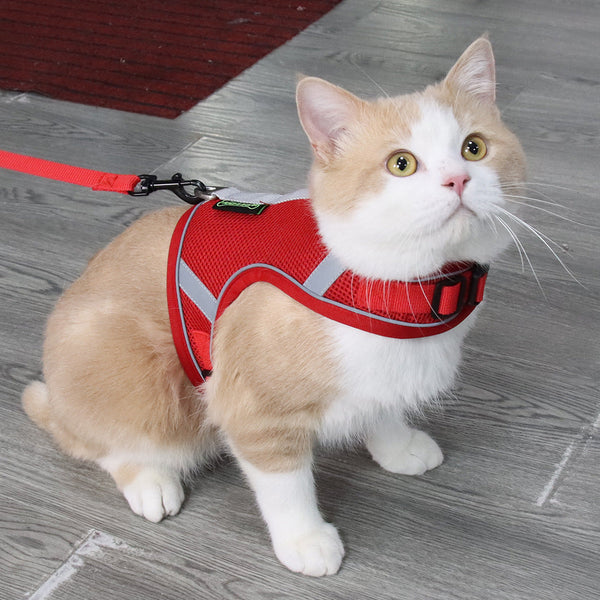 HKM-9399485 Adjustable Reflective Mesh Dog Harness with Traction Rope in Multiple Colors