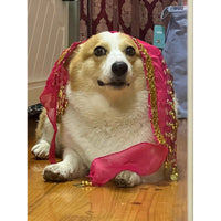 HKM-9404477 Enthusiastic Dog Fart Hip Scarf with Sequined Waist Chain in Multiple Colors