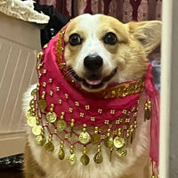 HKM-9404477 Enthusiastic Dog Fart Hip Scarf with Sequined Waist Chain in Multiple Colors
