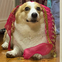 HKM-9404477 Enthusiastic Dog Fart Hip Scarf with Sequined Waist Chain in Multiple Colors