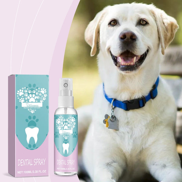 HKM-9405629 Pet Teeth Cleaning Spray for Oral Care, 100ml