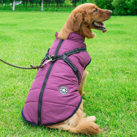 HKM-9409853 Winter Hooded Coat Jacket for Small Dogs – Waterproof, Reflective Design, Adjustable Fit