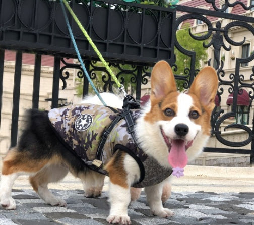 HKM-9409853 Winter Hooded Coat Jacket for Small Dogs – Waterproof, Reflective Design, Adjustable Fit