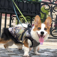 HKM-9409853 Winter Hooded Coat Jacket for Small Dogs – Waterproof, Reflective Design, Adjustable Fit