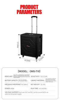 HKM-941011 10-Inch Portable Bluetooth Outdoor DJ Subwoofer Speaker with High-Power Bass for Parties