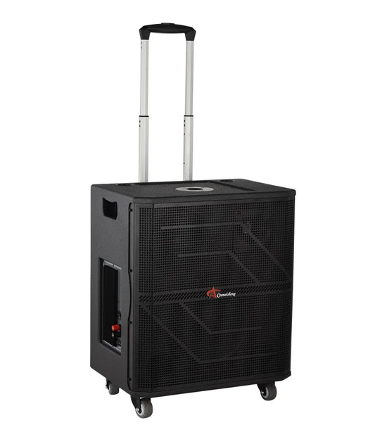 HKM-941011 10-Inch Portable Bluetooth Outdoor DJ Subwoofer Speaker with High-Power Bass for Parties