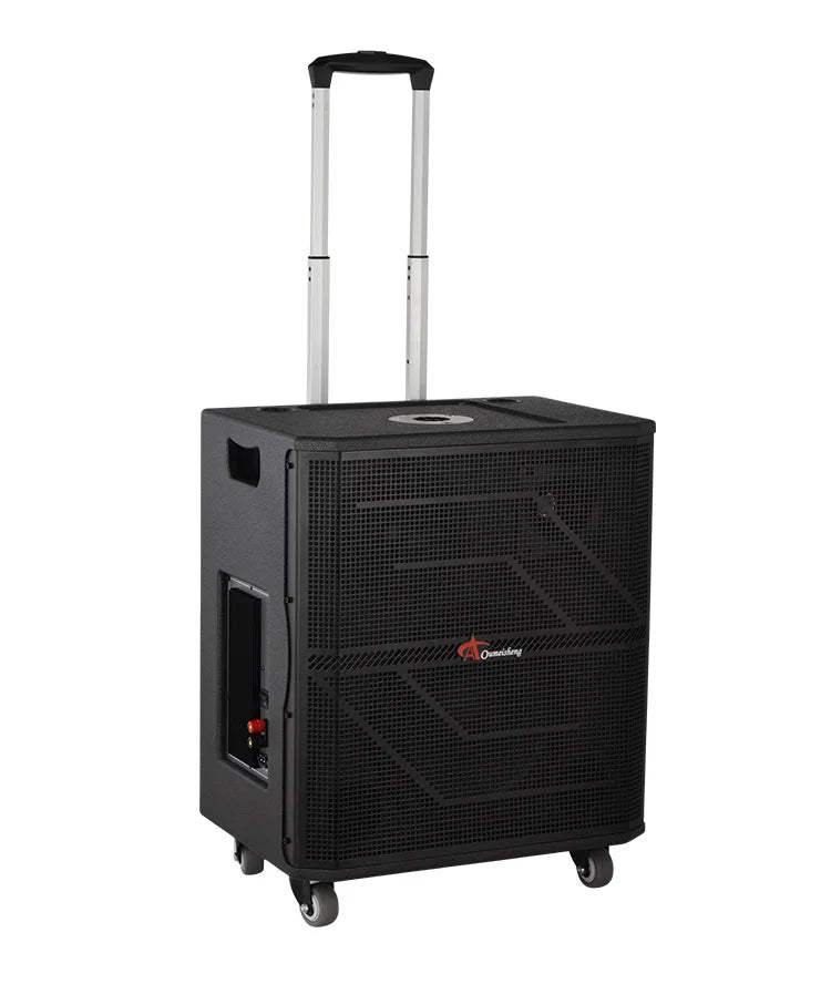 HKM-941011 10-Inch Portable Bluetooth Outdoor DJ Subwoofer Speaker with High-Power Bass for Parties