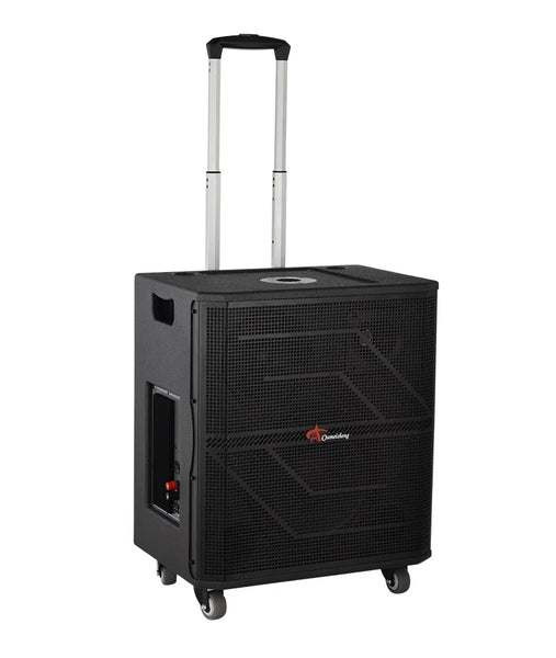 HKM-941011 10-Inch Portable Bluetooth Outdoor DJ Subwoofer Speaker with High-Power Bass for Parties