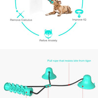 HKM-9410237 Double Suction Cup Molar Dog Toy - Durable Plastic in Lake Blue and Green