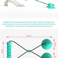 HKM-9410237 Double Suction Cup Molar Dog Toy - Durable Plastic in Lake Blue and Green