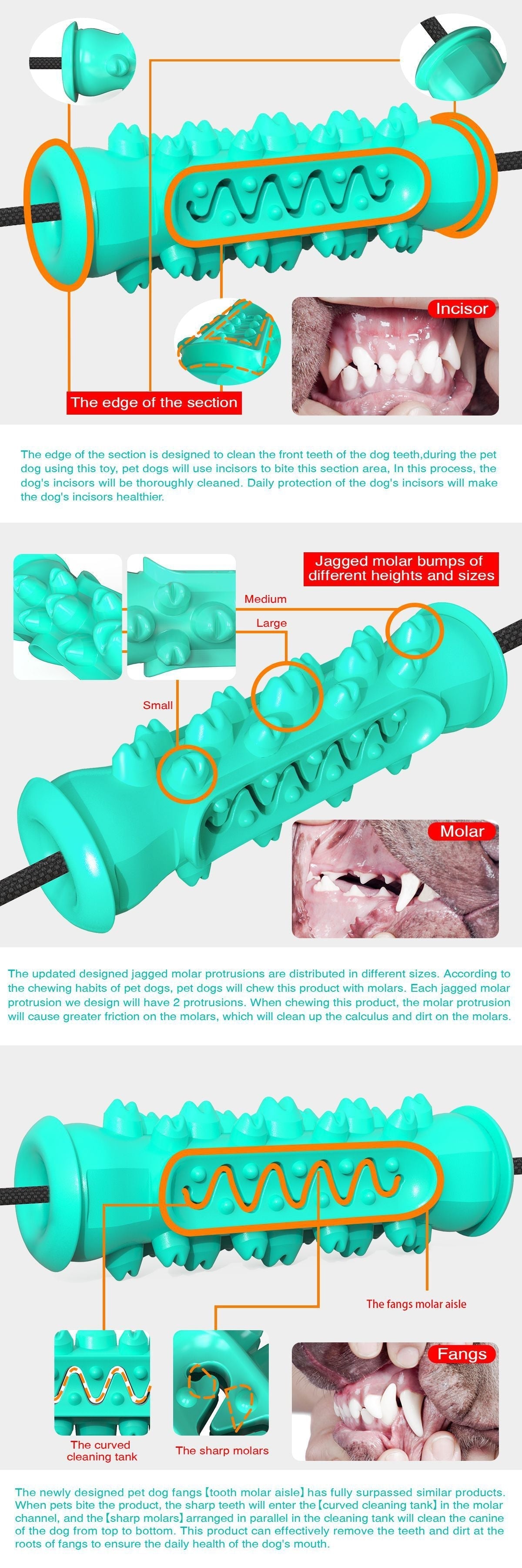 HKM-9410237 Double Suction Cup Molar Dog Toy - Durable Plastic in Lake Blue and Green