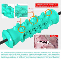 HKM-9410237 Double Suction Cup Molar Dog Toy - Durable Plastic in Lake Blue and Green