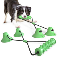 HKM-9410237 Double Suction Cup Molar Dog Toy - Durable Plastic in Lake Blue and Green