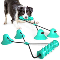 HKM-9410237 Double Suction Cup Molar Dog Toy - Durable Plastic in Lake Blue and Green