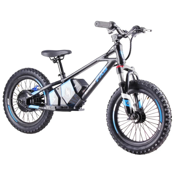 HKM-3876051 16-Inch Electric Balance Bike with 36V Brushless Hub Motor, Two-Speed Drive and a 5.0Ah Lithium Battery System