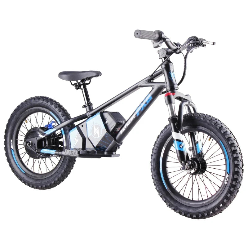 HKM-941587 16-Inch Electric Balance Bike with 350W Motor, 36V Lithium Battery, Disc Brake and Portable Design