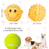 HKM-9418429 Interactive Squeaky Dog Toys - Soft Latex Animal Balls for Fetch and Dental Health