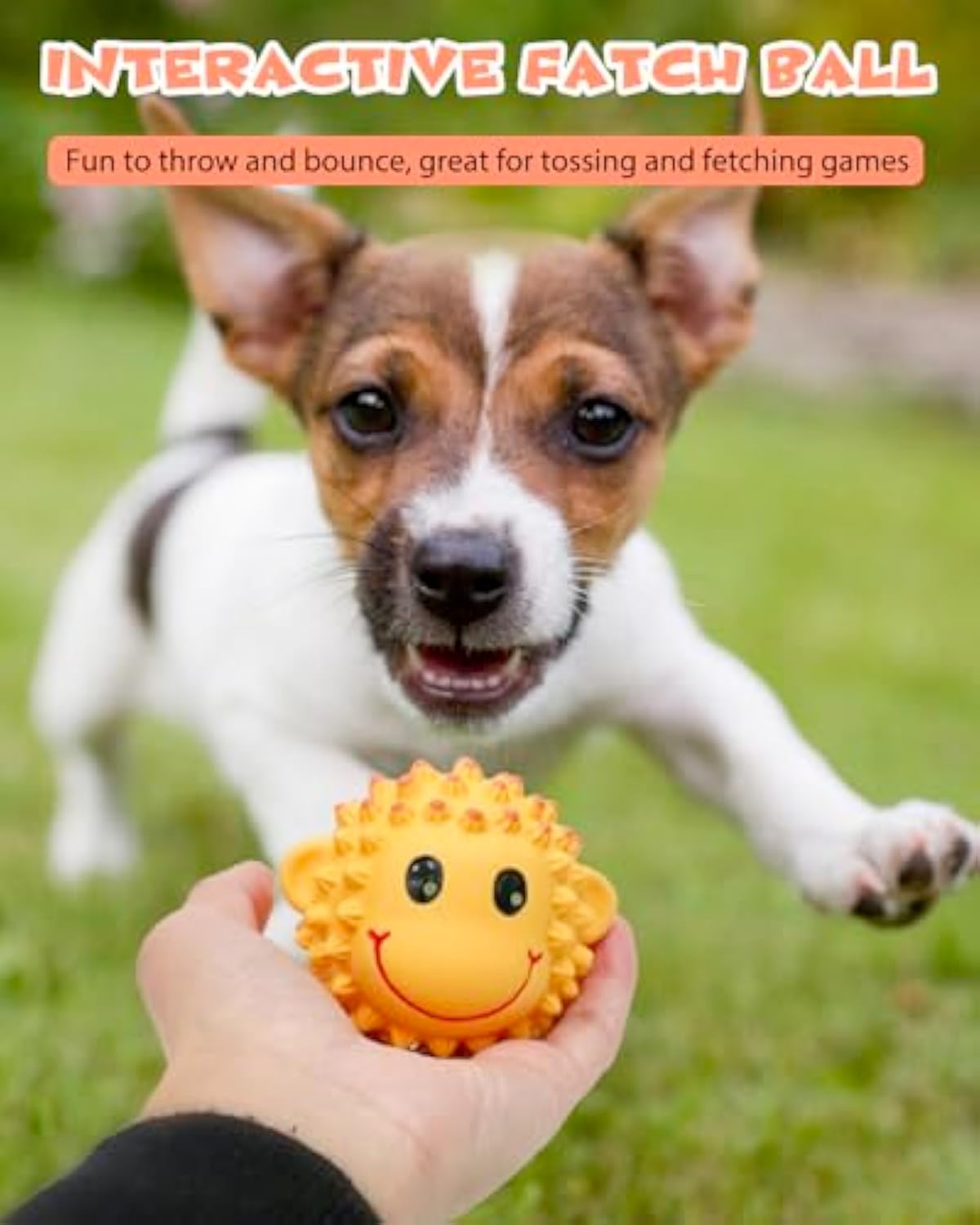 HKM-9418429 Interactive Squeaky Dog Toys - Soft Latex Animal Balls for Fetch and Dental Health