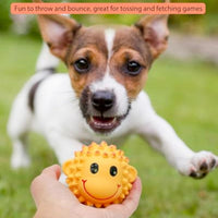 HKM-9418429 Interactive Squeaky Dog Toys - Soft Latex Animal Balls for Fetch and Dental Health