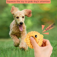 HKM-9418429 Interactive Squeaky Dog Toys - Soft Latex Animal Balls for Fetch and Dental Health