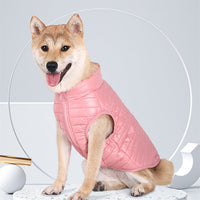 HKM-9426365 Full Nylon Zipper Dog Jacket for Autumn and Winter – Available in Pink, Lake Blue, Red, Black, Dark Blue, Gray - Sizes XS to XL