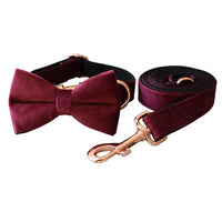 HKM-9428669 Velvet Dog Collar with Bow Knot - Adjustable Leash Set for All Breeds