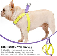HKM-9429309 Lightweight No-Pull Dog Harness and Leash Set for Small Breeds, Ideal for French Bulldogs and Chihuahuas