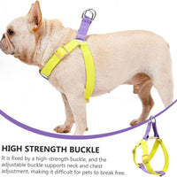 HKM-9429309 Lightweight No-Pull Dog Harness and Leash Set for Small Breeds, Ideal for French Bulldogs and Chihuahuas
