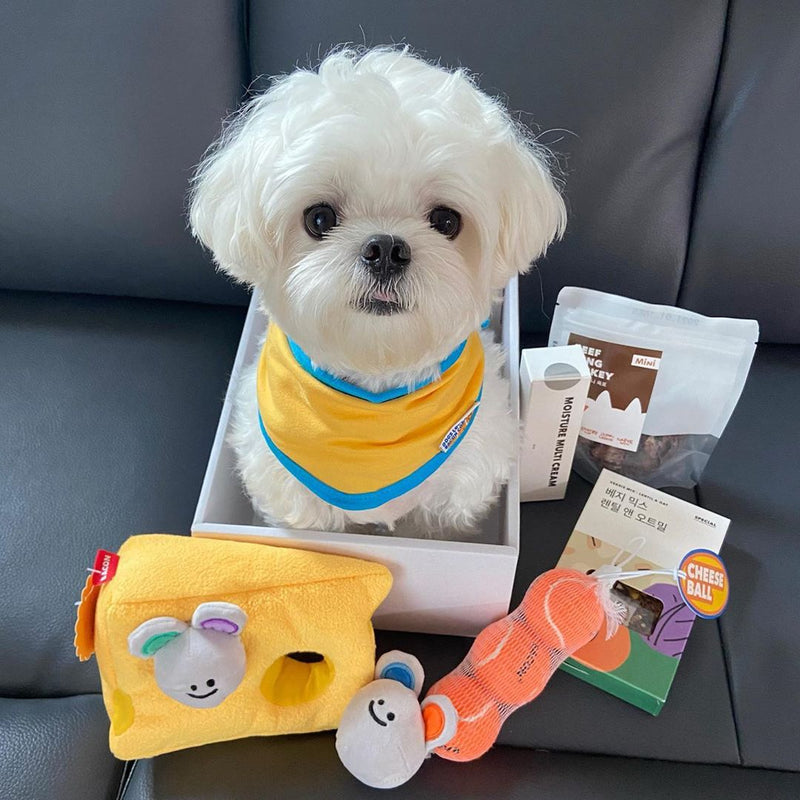 HKM-9433277 Interactive Plush Cheese Mouse Dog Toy for Intelligence Training and Dental Care
