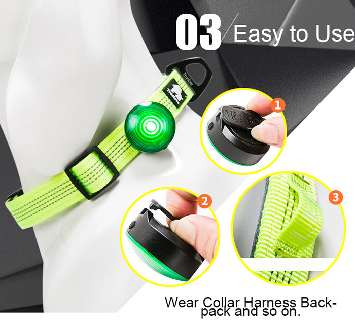 HKM-9435709 Dog Anti-Lost LED Night Light with 3 Modes and Easy Battery Replacement