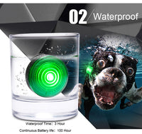 HKM-9435709 Dog Anti-Lost LED Night Light with 3 Modes and Easy Battery Replacement