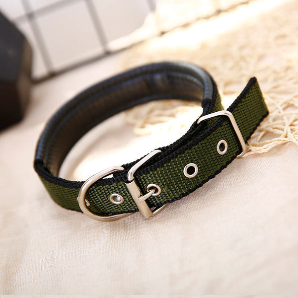 HKM-9440189 Polypropylene PET Foam Dog Collar with Pp Braid Lining - Available in Multiple Colors and Sizes