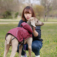 HKM-9440573 Portable PU Raincoat for Medium and Large Pets - Wine Red and Gold