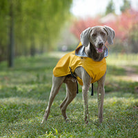 HKM-9440573 Portable PU Raincoat for Medium and Large Pets - Wine Red and Gold