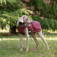HKM-9440573 Portable PU Raincoat for Medium and Large Pets - Wine Red and Gold