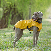HKM-9440573 Portable PU Raincoat for Medium and Large Pets - Wine Red and Gold