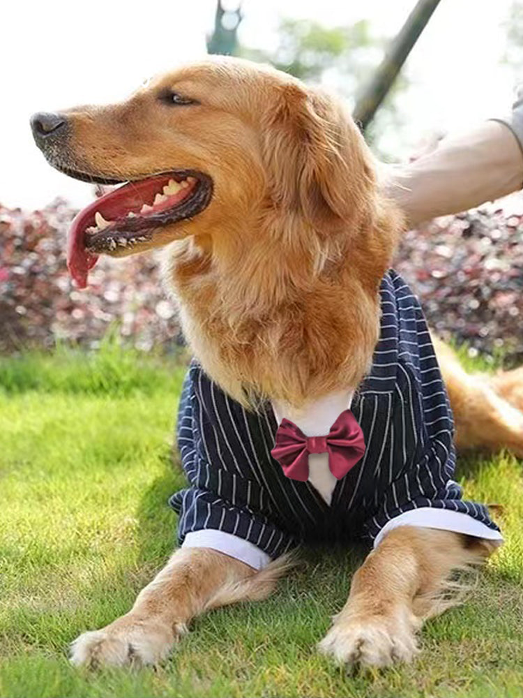 HKM-9444541 Navy Blue Casual Dog Coat for Large Breeds ¨C Sizes 3XL to 7XL
