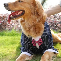 HKM-9444541 Navy Blue Casual Dog Coat for Large Breeds ¨C Sizes 3XL to 7XL