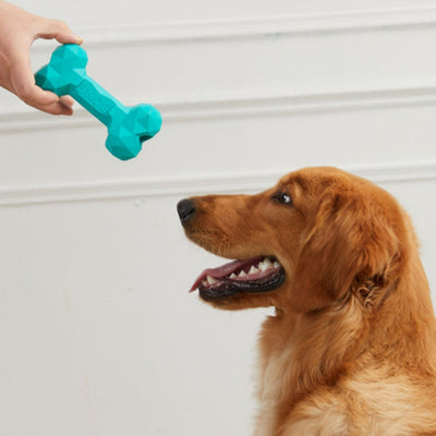 HKM-9452349 Durable Rubber Bone Toy for Dogs - Teeth Grinding & Cleaning, Interactive Puzzle, Multiple Sizes Available