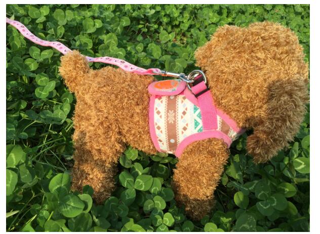 HKM-9452989 Dog Trail Vest with Protective Chest Strap - Adjustable, Durable, Available in Various Stylish Patterns and Sizes S-XL