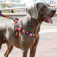 HKM-9453501 Geometric Pattern Polyester Pet Leash and Collar Set